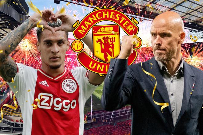 不仅促进了 不仅促进了